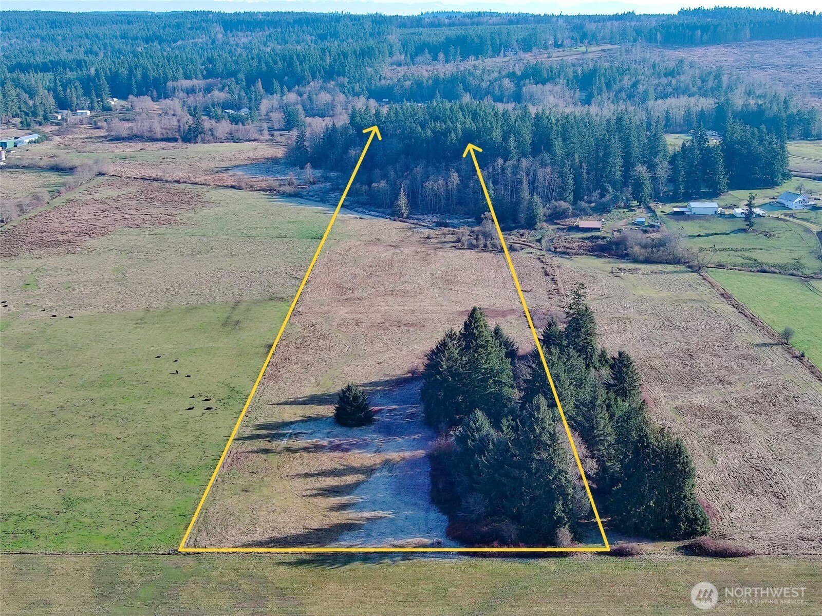 5662 Center Road Chimacum, WA 98325 - Photo 5 of 25 a view of a backyard with large trees