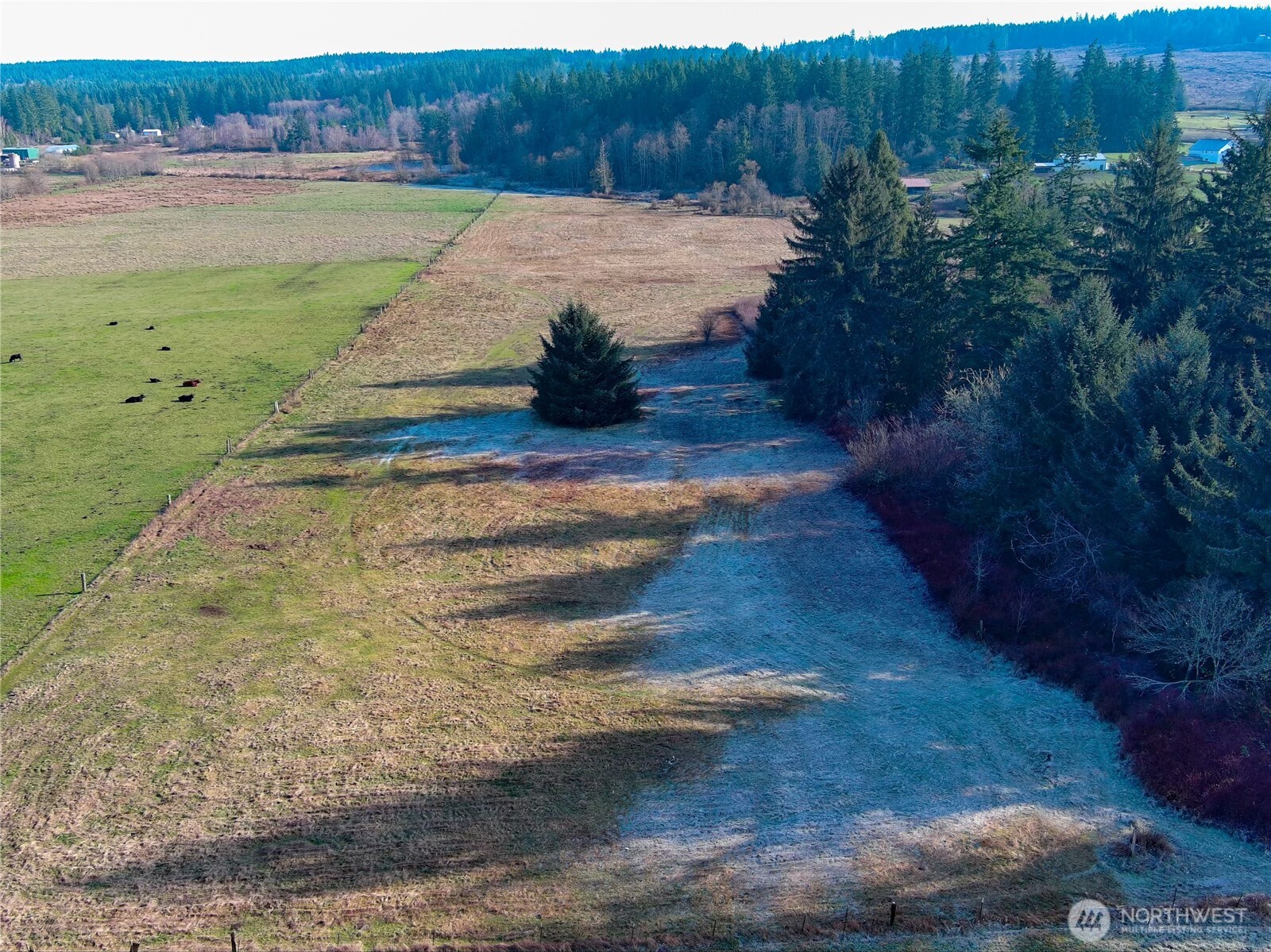 5662 Center Road Chimacum, WA 98325 - Photo 6 of 25 a view of a backyard