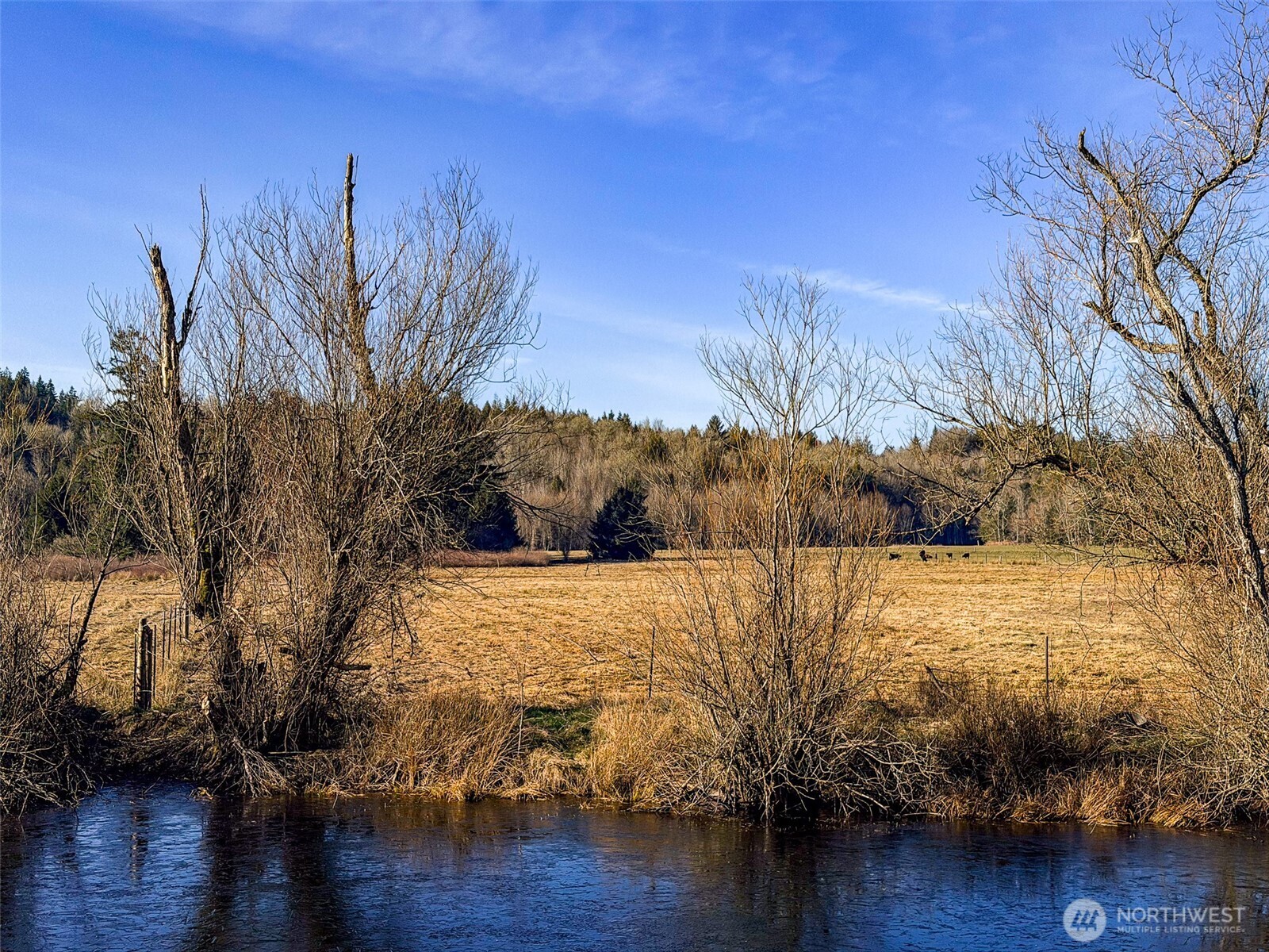 5662 Center Road Chimacum, WA 98325 - Photo 10 of 25