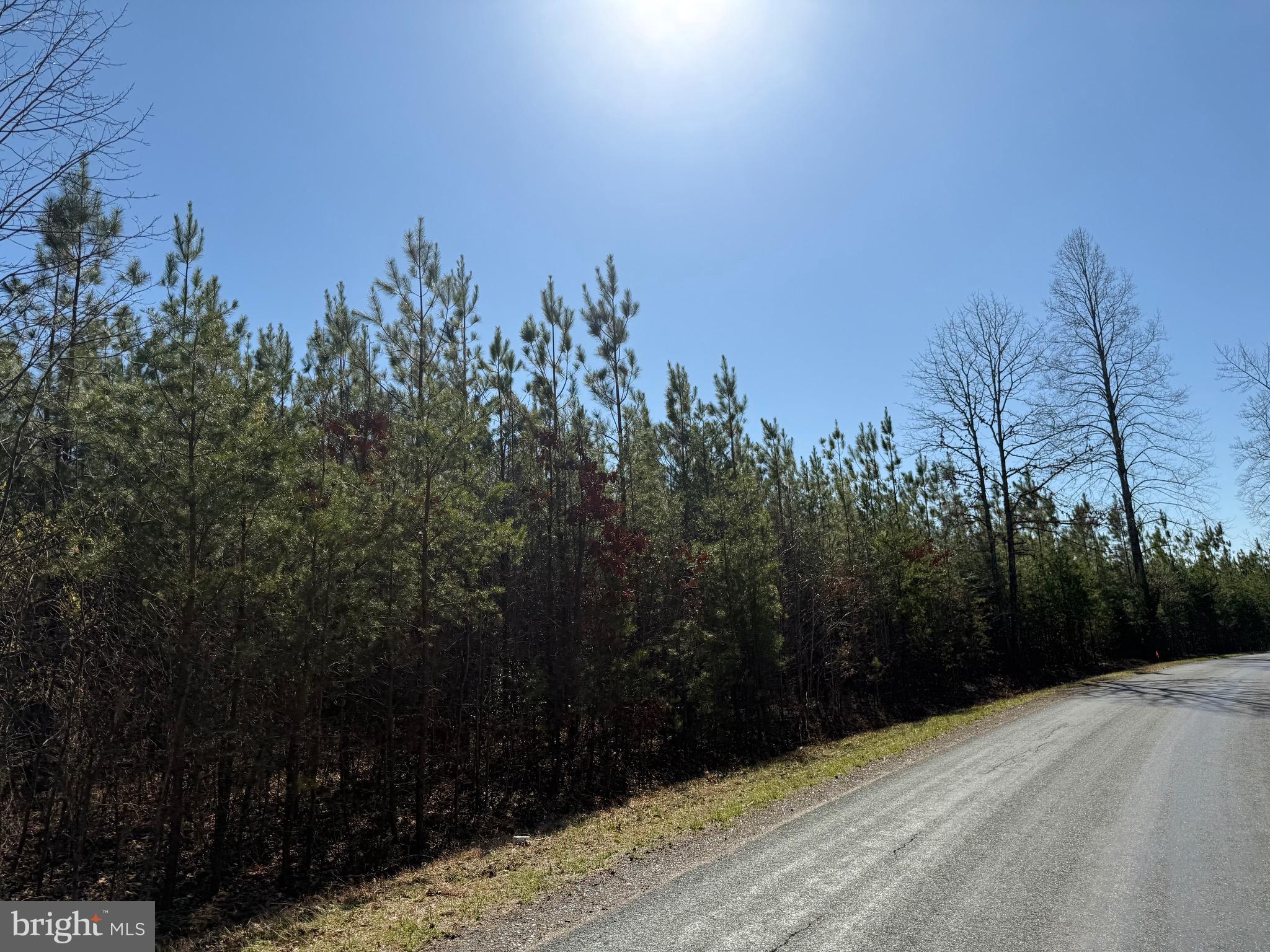 2 A Sanders Creek Road Dillwyn, VA 23936 - Photo 11 of 12 a view of a backyard of a house