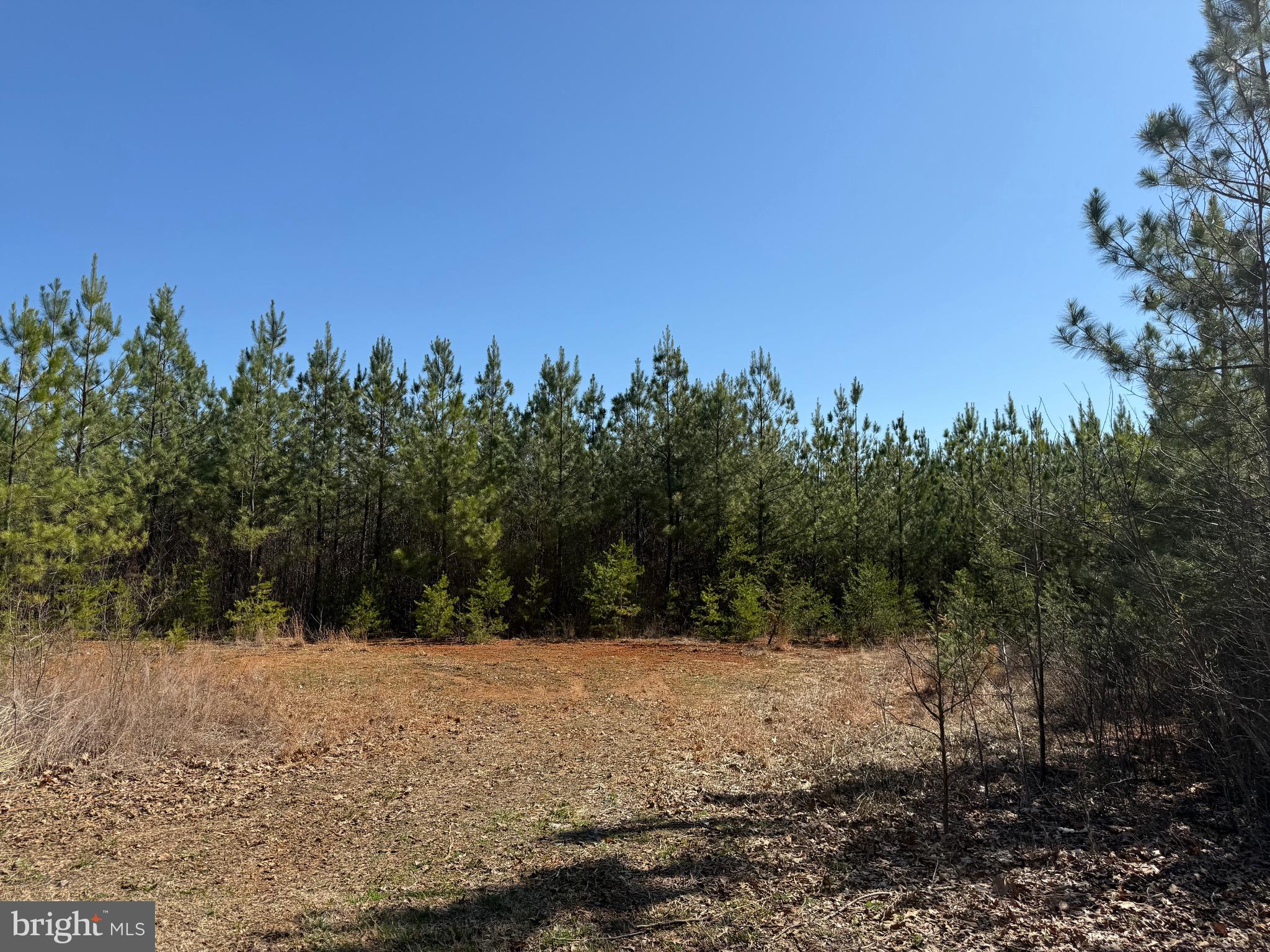 2 A Sanders Creek Road Dillwyn, VA 23936 - Photo 3 of 12 a view of outdoor space with mountain view