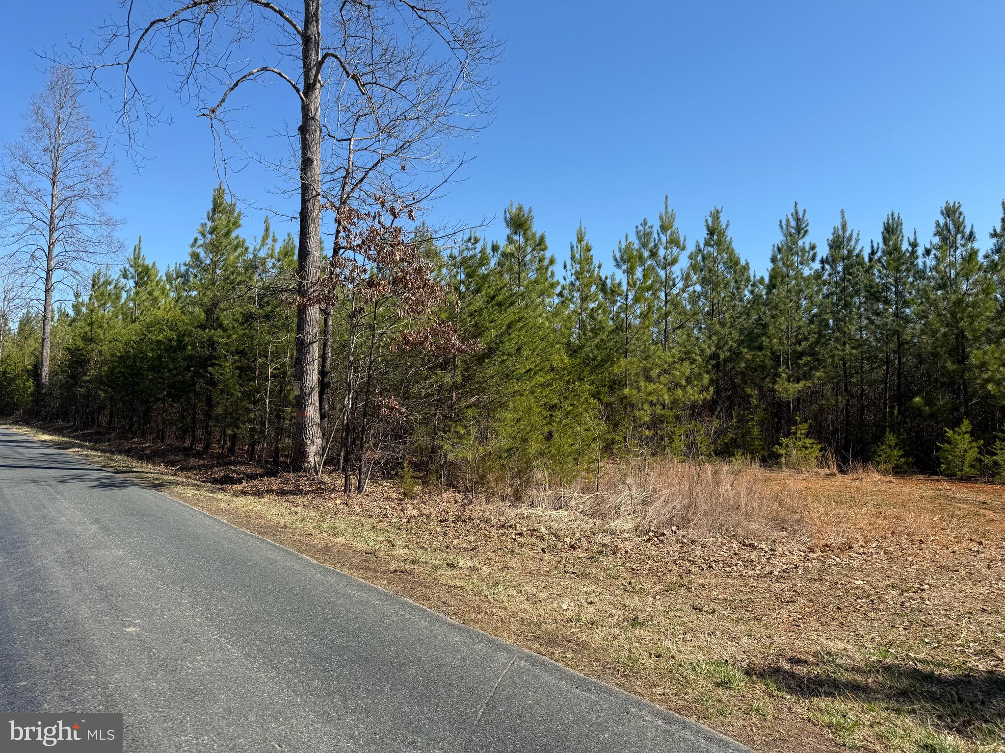 2 A Sanders Creek Road Dillwyn, VA 23936 - Photo 5 of 12 a view of a yard covered with snow in outdoor space