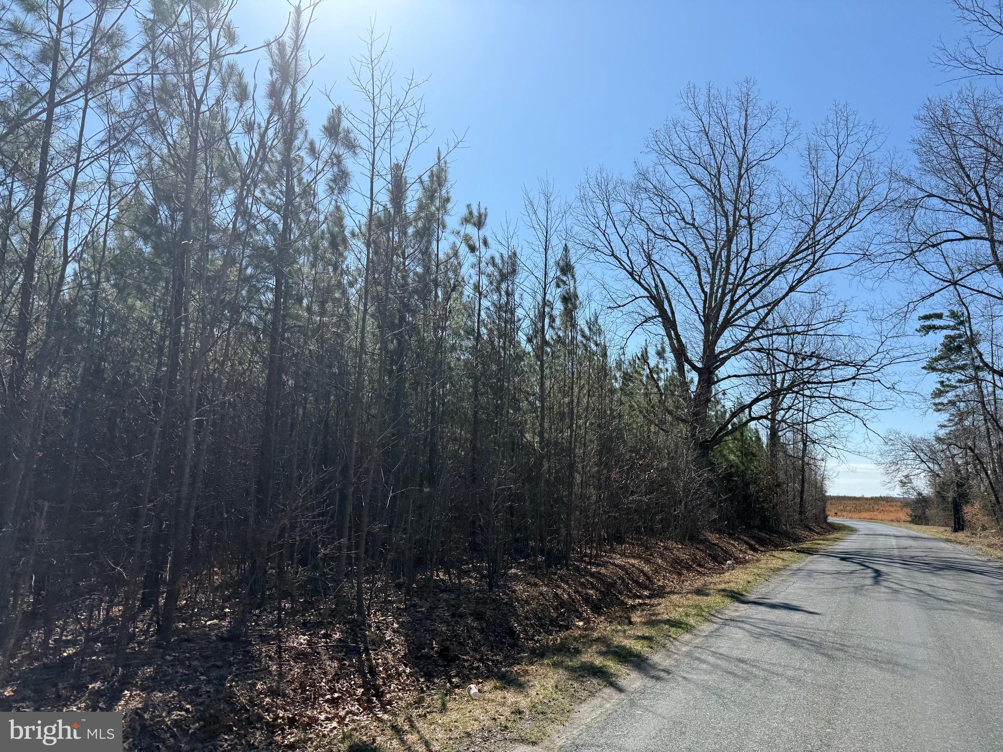 2 A Sanders Creek Road Dillwyn, VA 23936 - Photo 6 of 12 a view of a backyard of a house