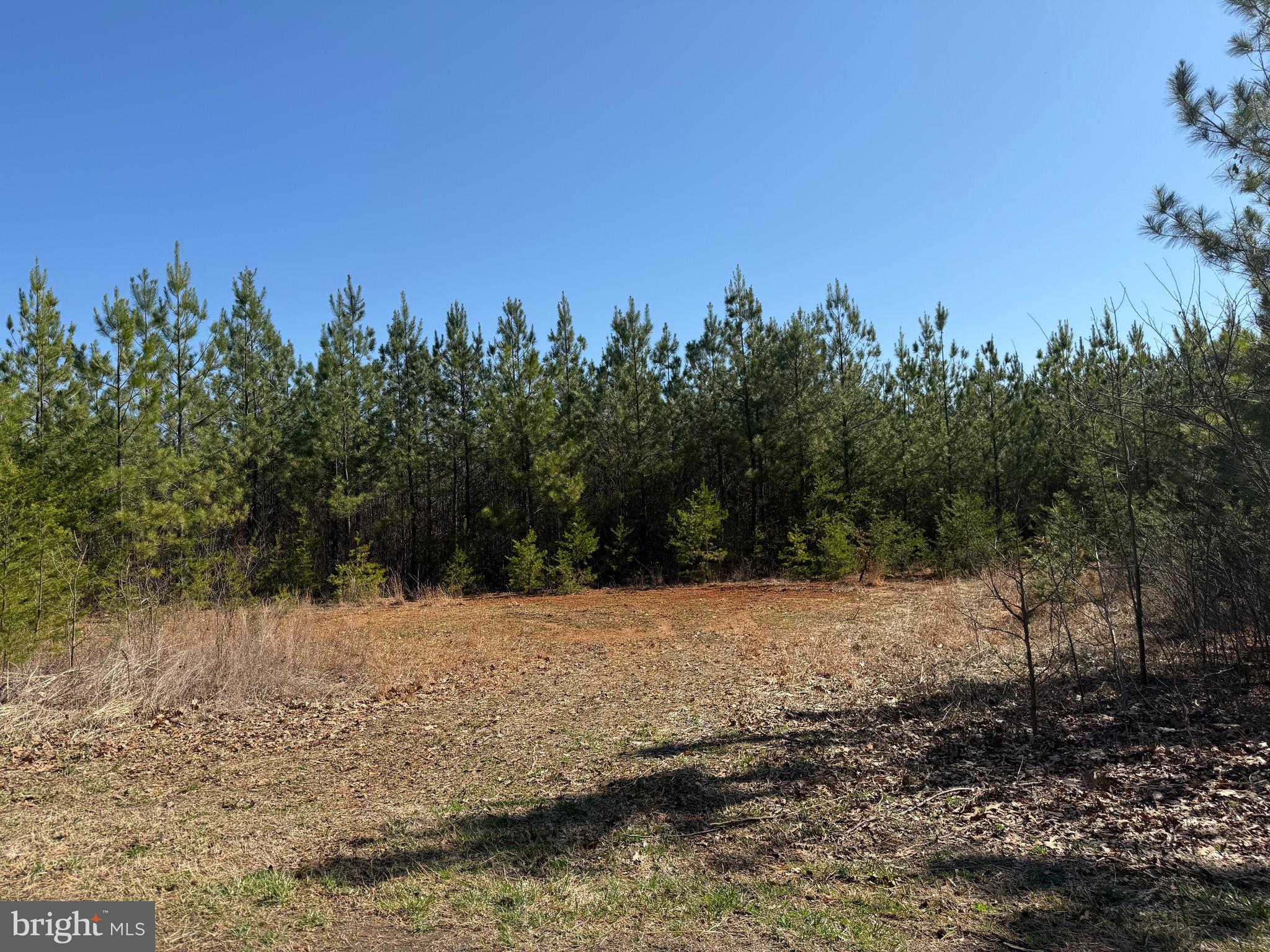 2 A Sanders Creek Road Dillwyn, VA 23936 - Photo 7 of 12 a view of a yard with a tree