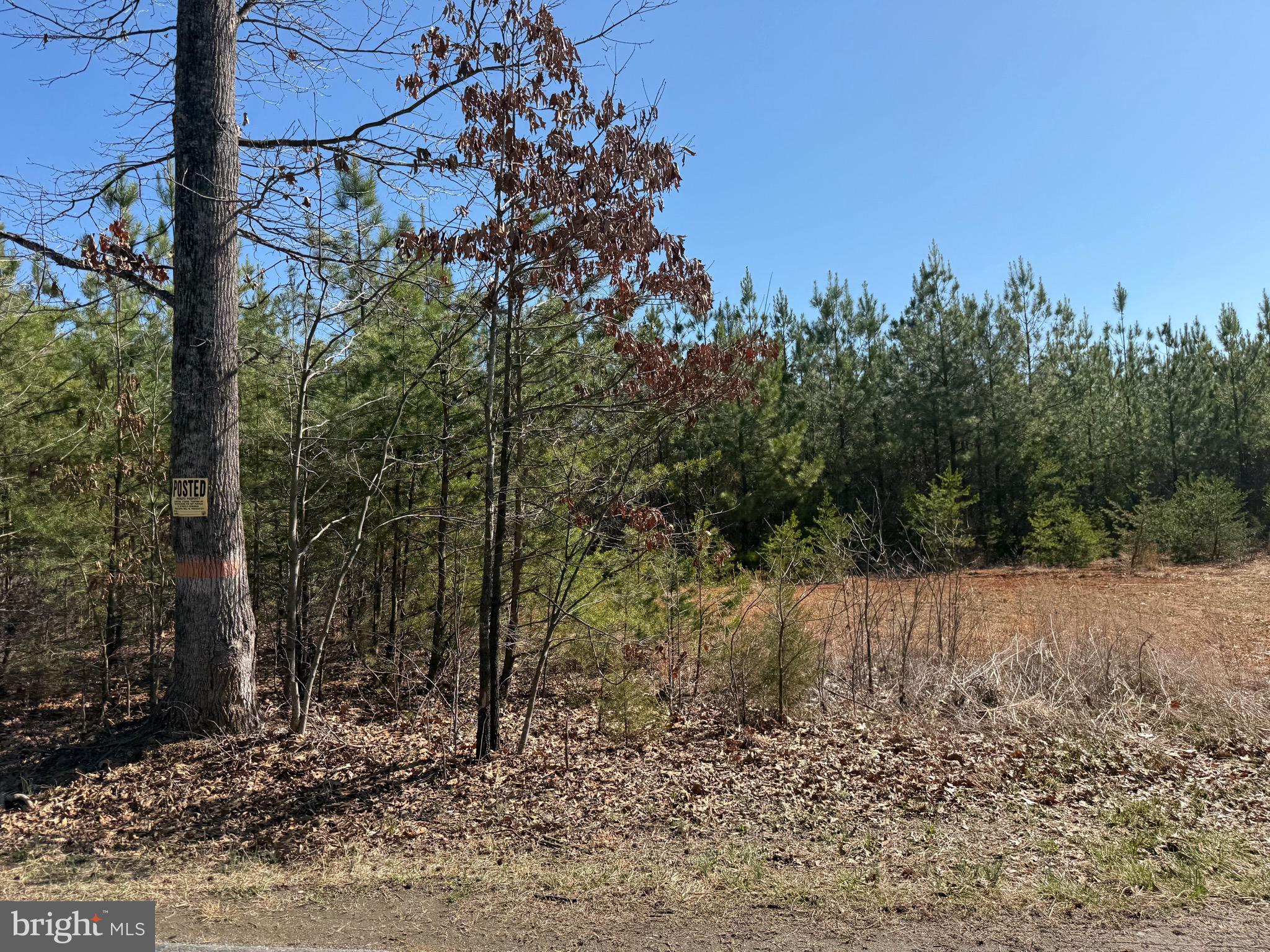 2 A Sanders Creek Road Dillwyn, VA 23936 - Photo 8 of 12 a view of a yard with a tree