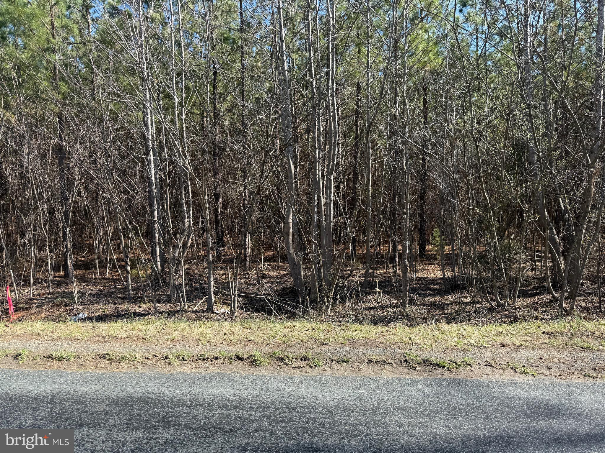 2 A Sanders Creek Road Dillwyn, VA 23936 - Photo 9 of 12 a view of a backyard of a house