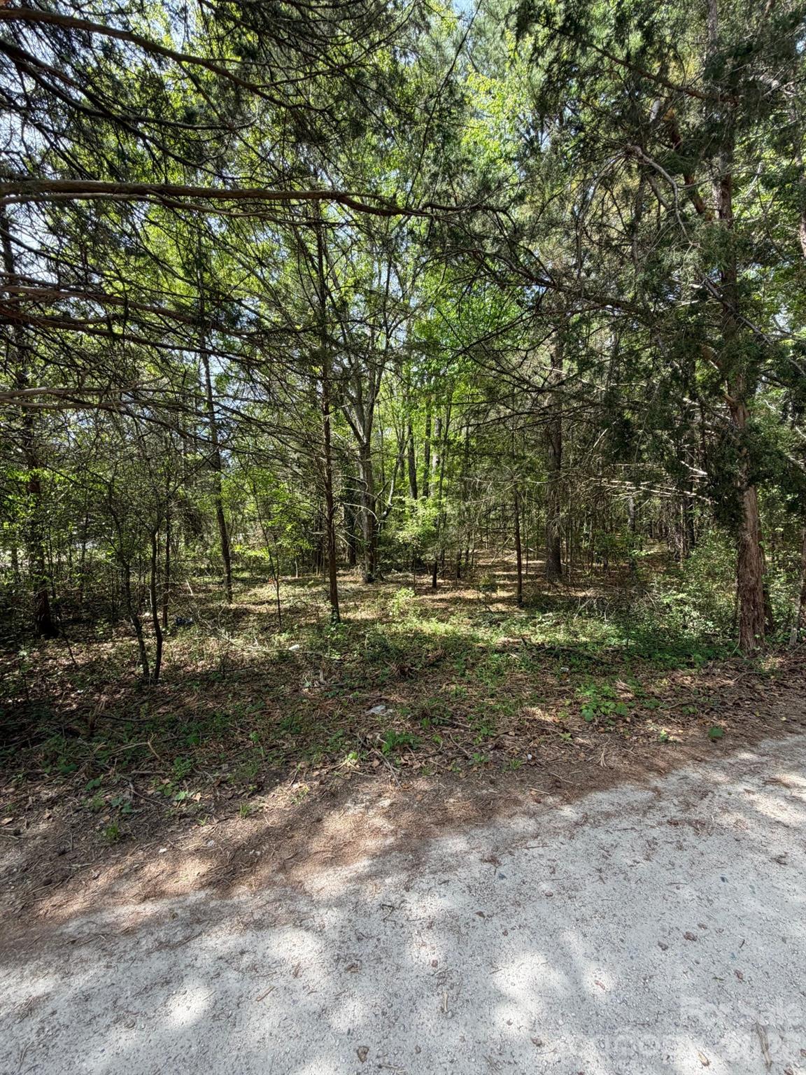 0 William Stevenson Road Richburg, SC 29729 - Photo 2 of 5