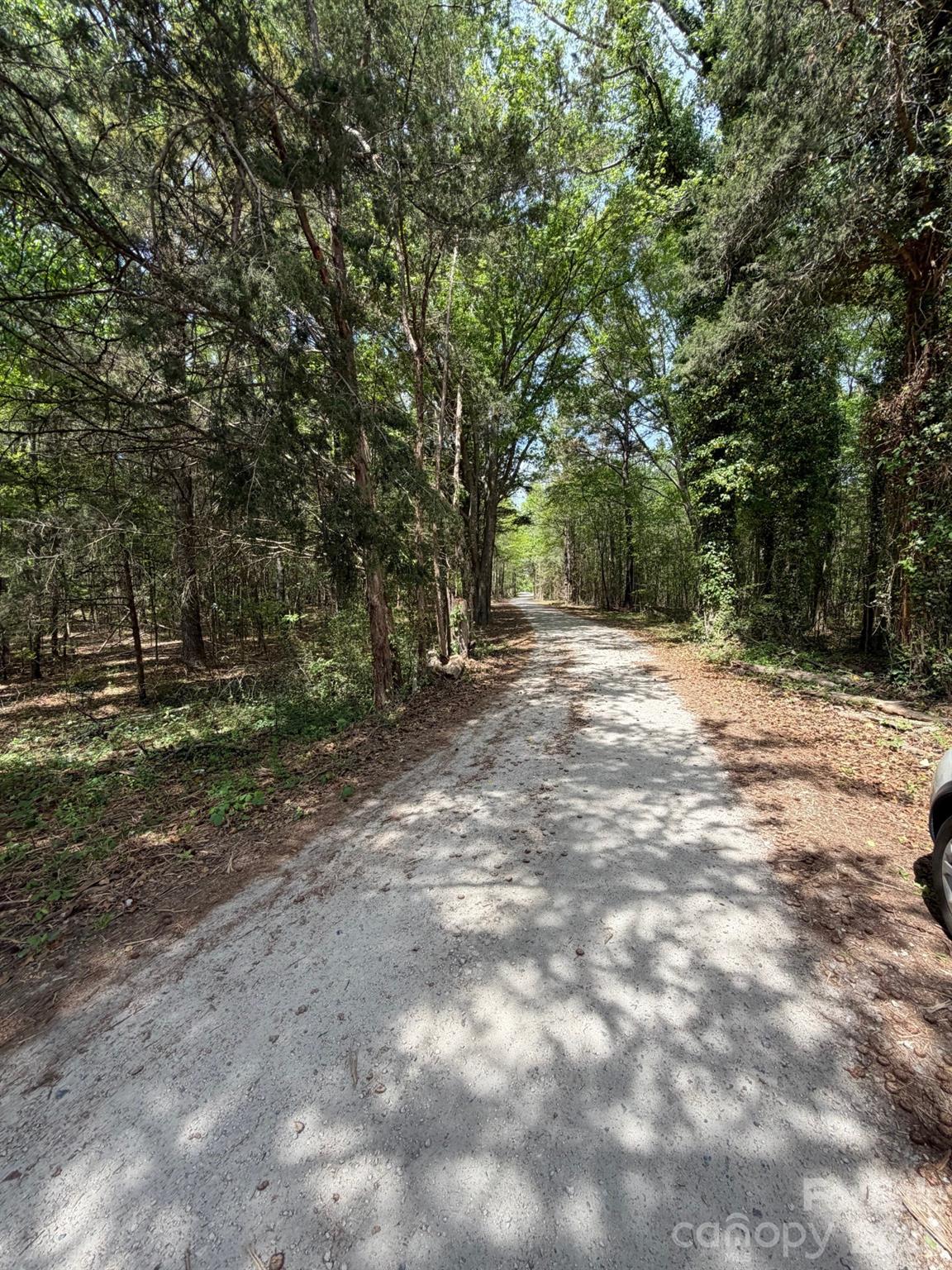 0 William Stevenson Road Richburg, SC 29729 - Photo 4 of 5