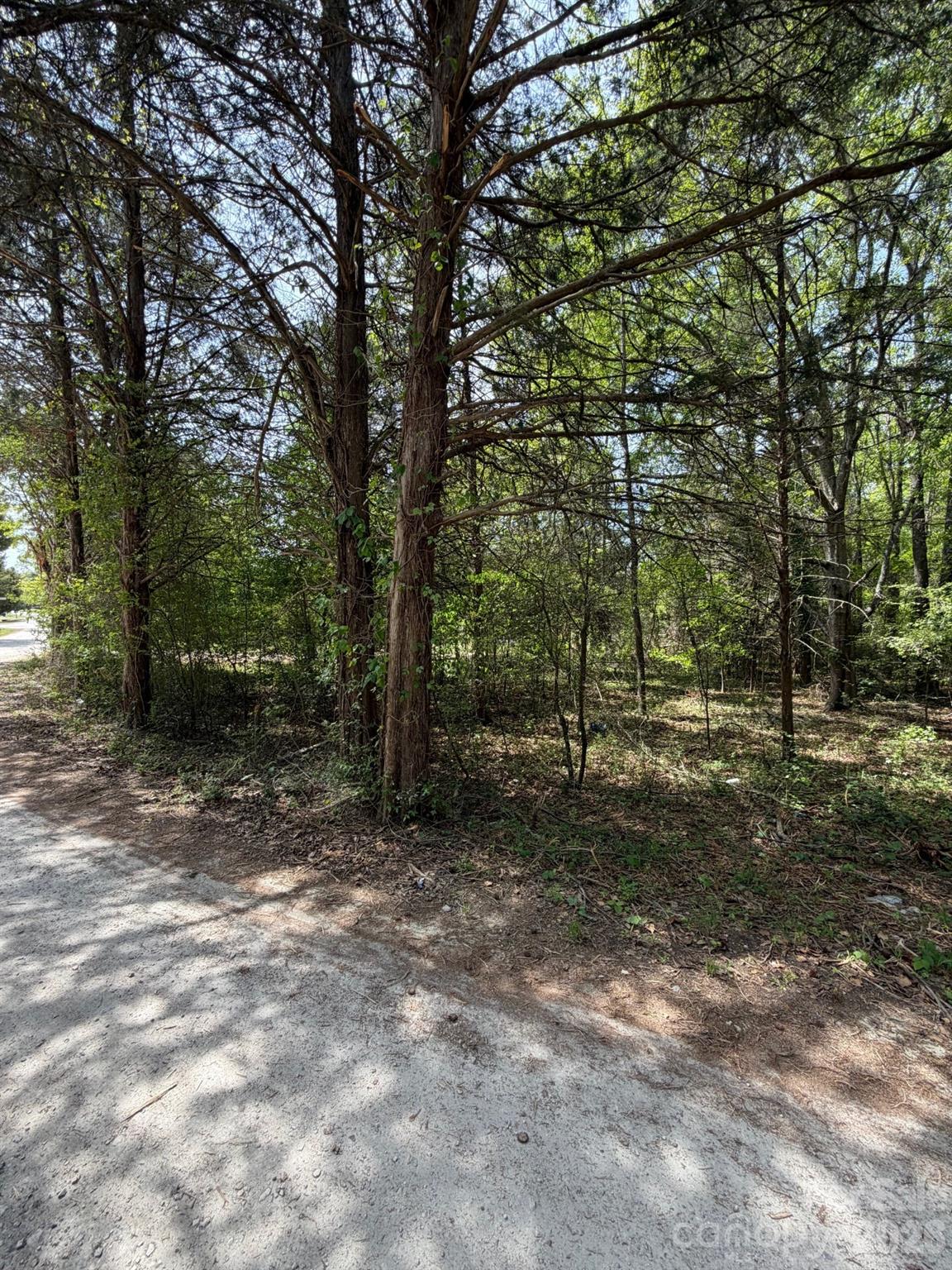 0 William Stevenson Road Richburg, SC 29729 - Photo 5 of 5