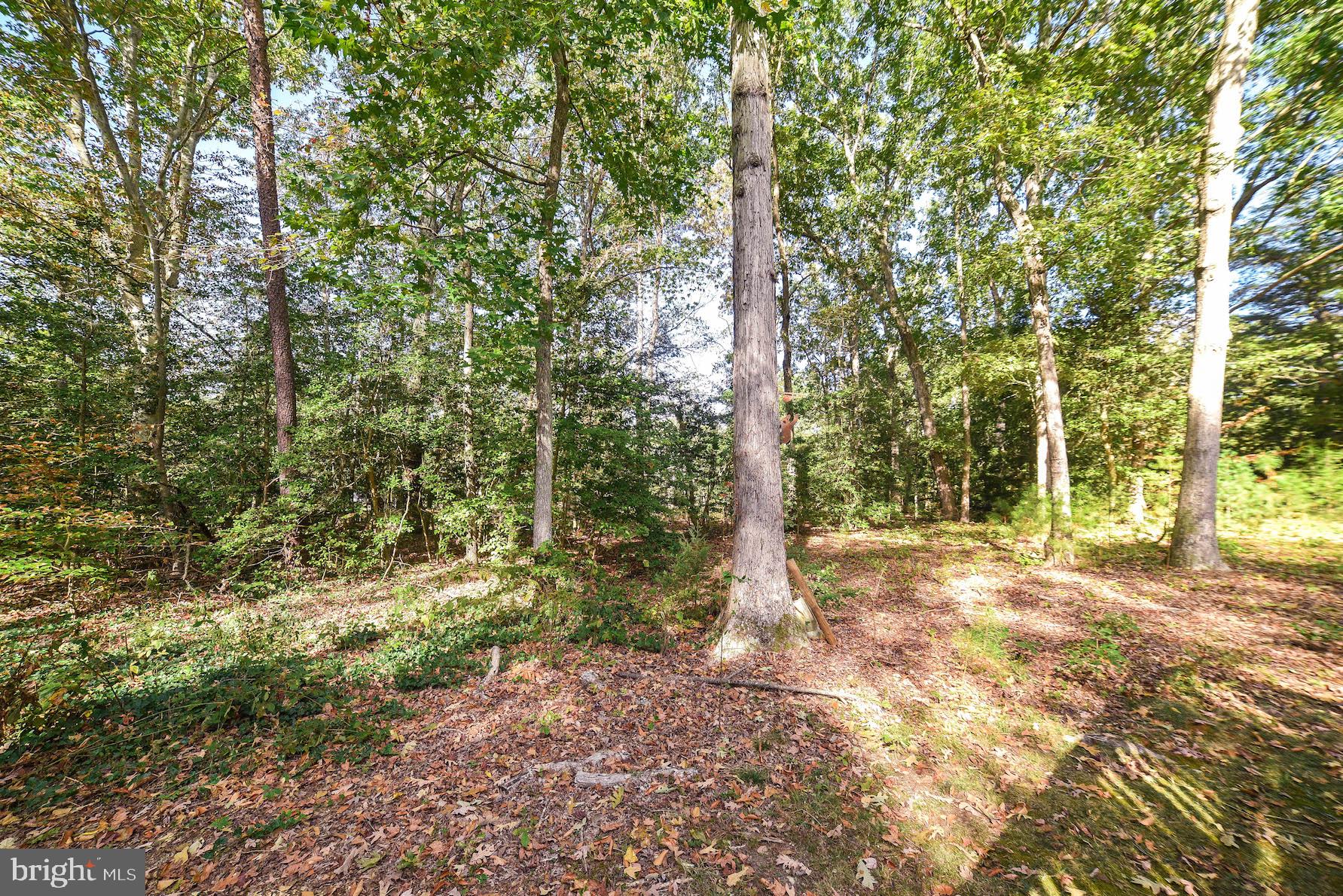 22145 Cartwright Road Leonardtown, MD 20650 - Photo 6 of 31 Gallery Image 6