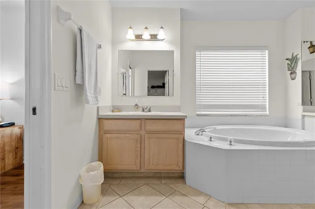 a bathroom with a sink a large mirror and a bathtub