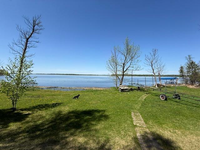 1171 South Gull Lake Road Southwest Tenstrike, MN 56683 - Photo 16 of 39