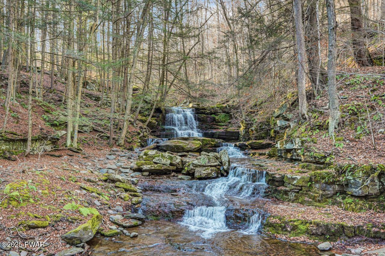 536 A Fall Brook Road Starlight, PA 18461 - Photo 6 of 150