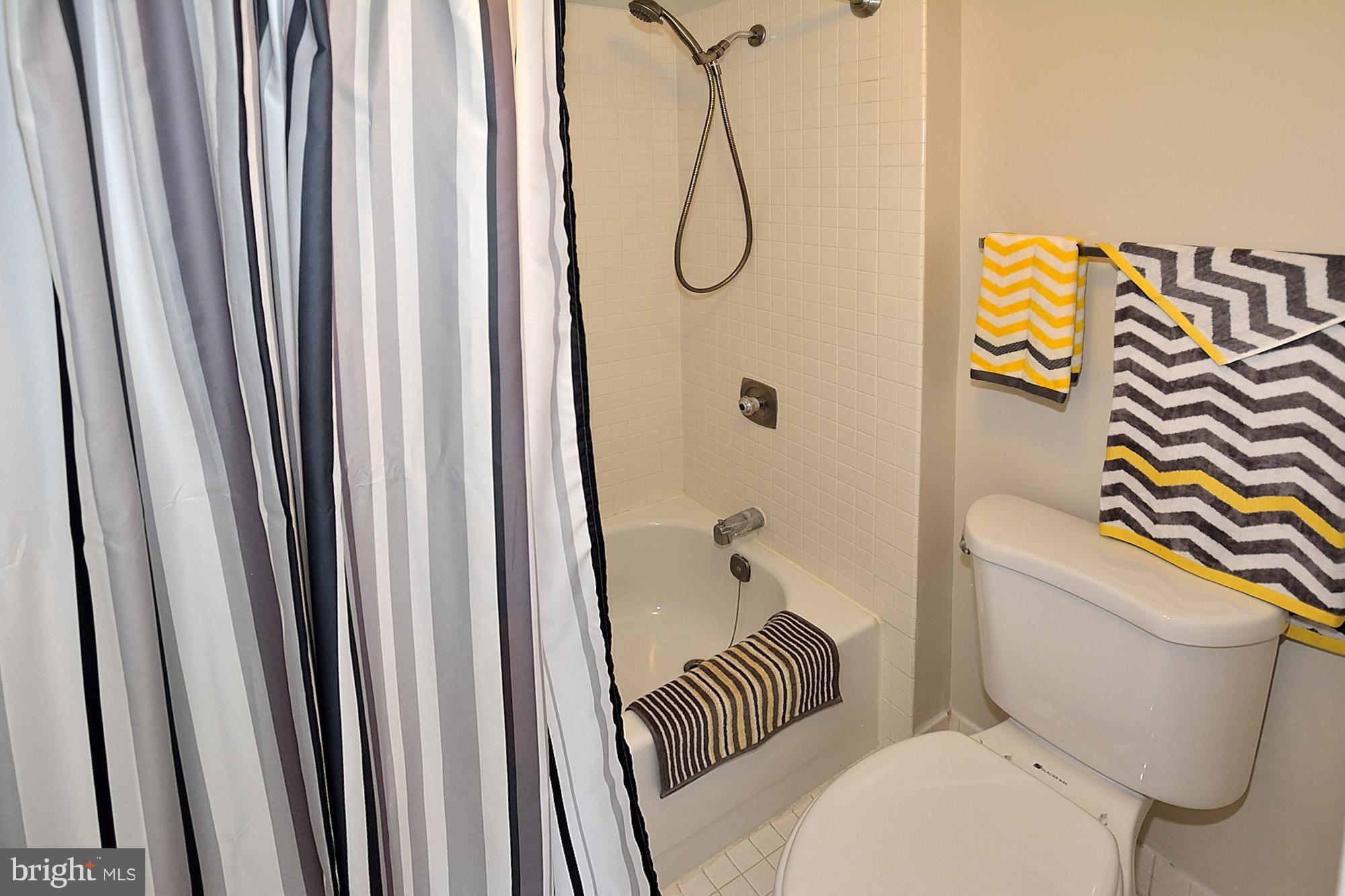 5501 Seminary Road, Unit 1710S Falls Church, VA 22041 - Photo 14 of 28 Separate shower area