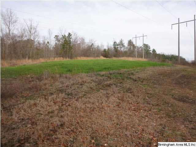Donald Avenue, Unit 24 Attalla, AL 35954 - Photo 9 of 15