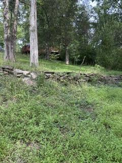 957 Bonar Road Falmouth, KY 41040 - Photo 22 of 32 IMG_4426