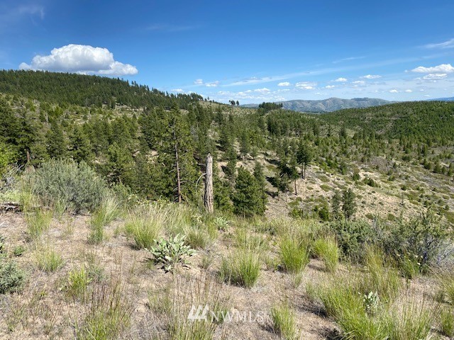 1 Usfs Road, Unit B Entiat, WA 98822 - Photo 1 of 12 Gallery Image 1
