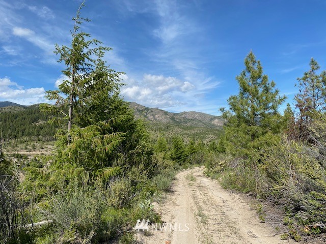 1 Usfs Road, Unit B Entiat, WA 98822 - Photo 12 of 12 Gallery Image 12