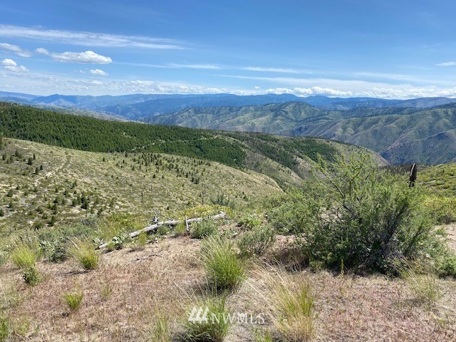 1 Usfs Road, Unit B Entiat, WA 98822 - Photo 3 of 12 Gallery Image 3