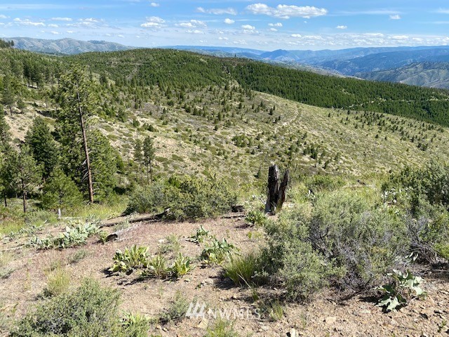 1 Usfs Road, Unit B Entiat, WA 98822 - Photo 5 of 12 Gallery Image 5