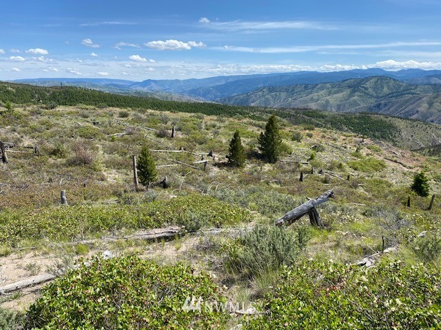 1 Usfs Road, Unit B Entiat, WA 98822 - Photo 6 of 12 Gallery Image 6