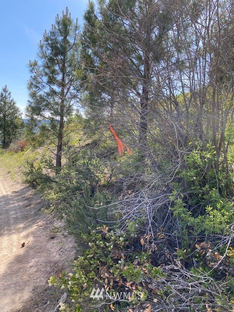1 Usfs Road, Unit B Entiat, WA 98822 - Photo 8 of 12 Gallery Image 8
