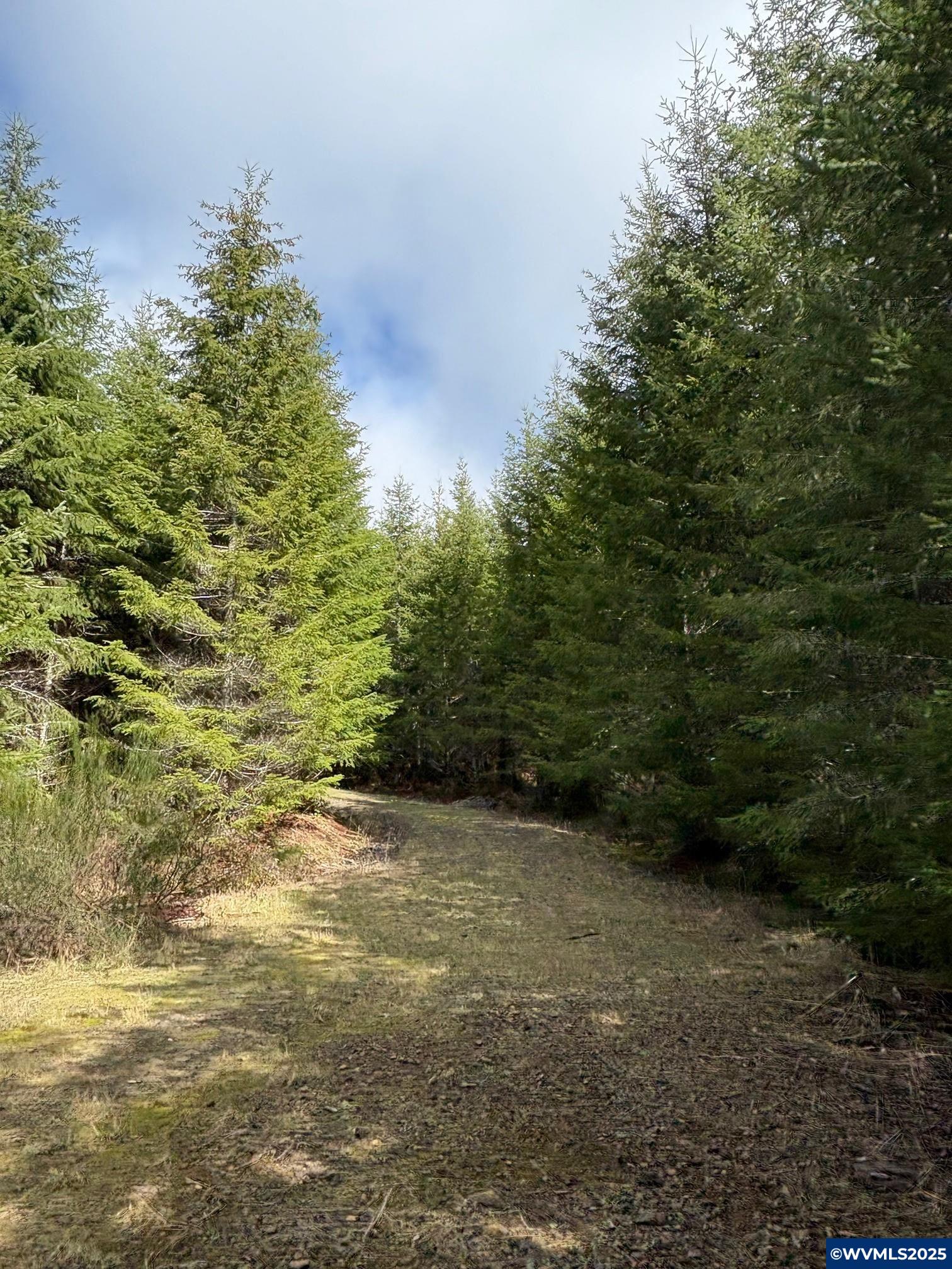 0 Boiler Creek Road Springfield, OR 97478 - Photo 5 of 26