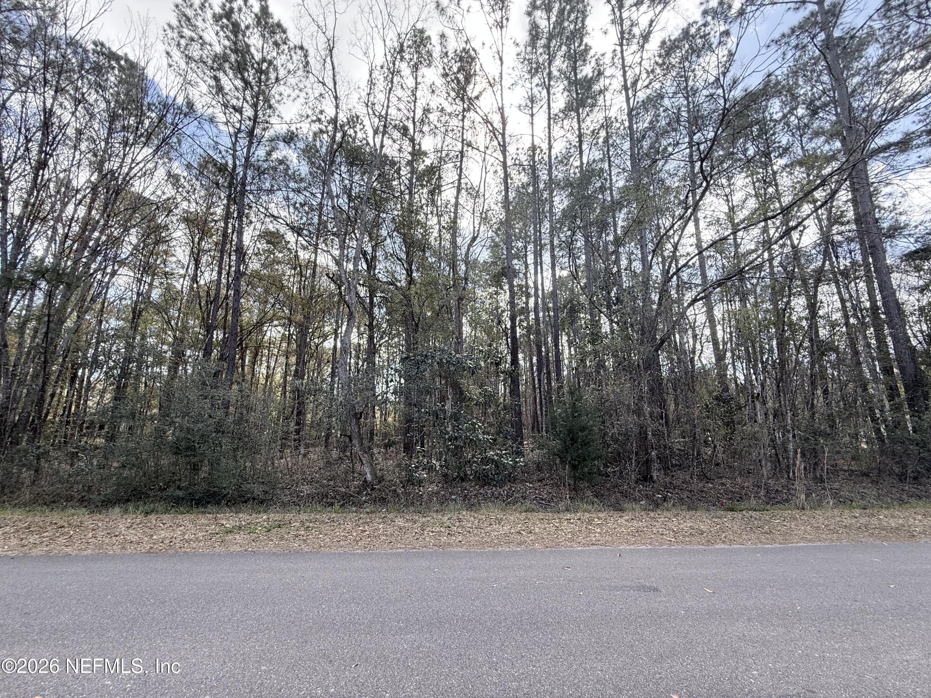 0 Janice Drive Callahan, FL 32011 - Photo 1 of 4 a backyard of a house with trees