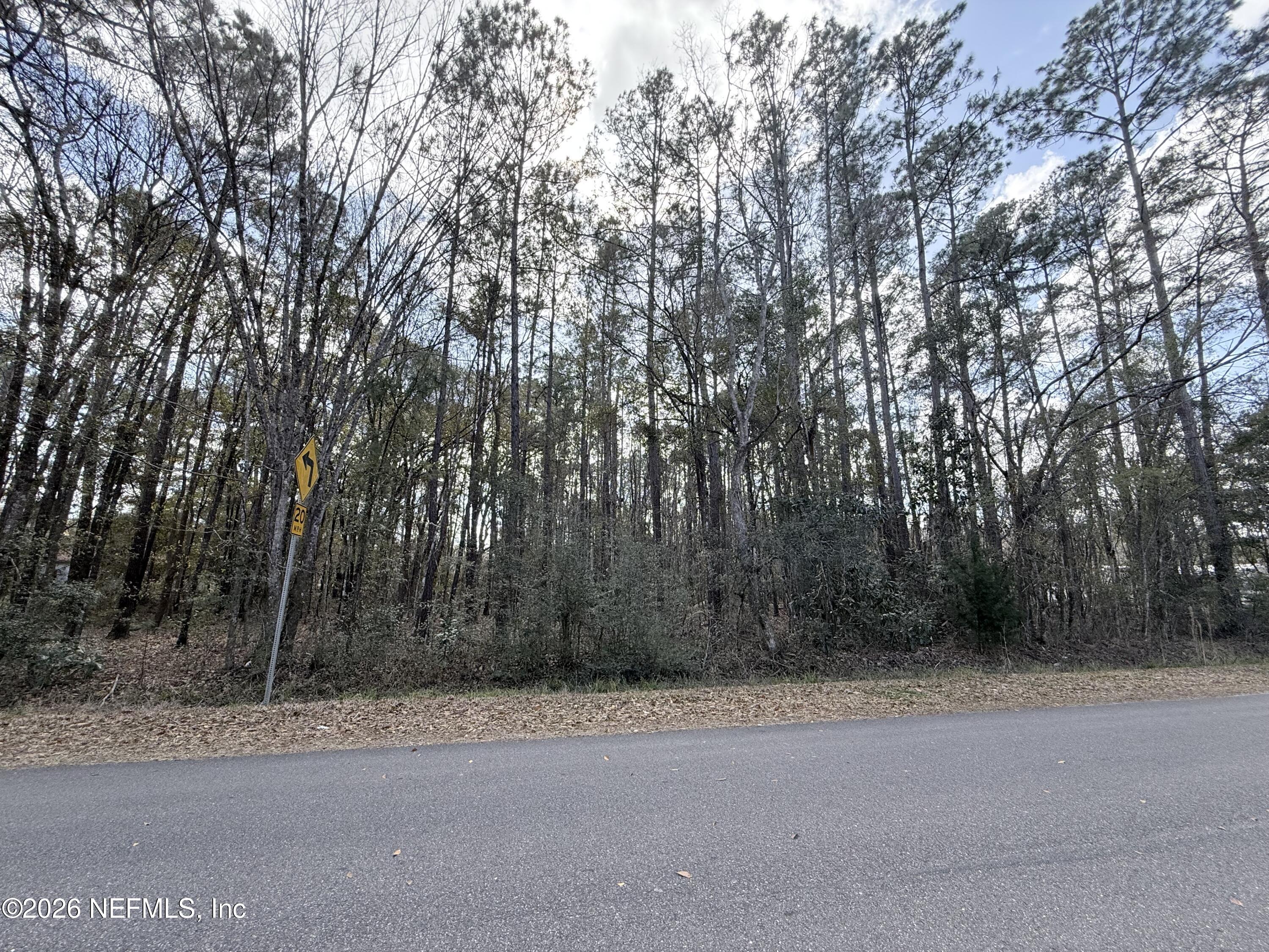0 Janice Drive Callahan, FL 32011 - Photo 4 of 4 a view of a yard with trees