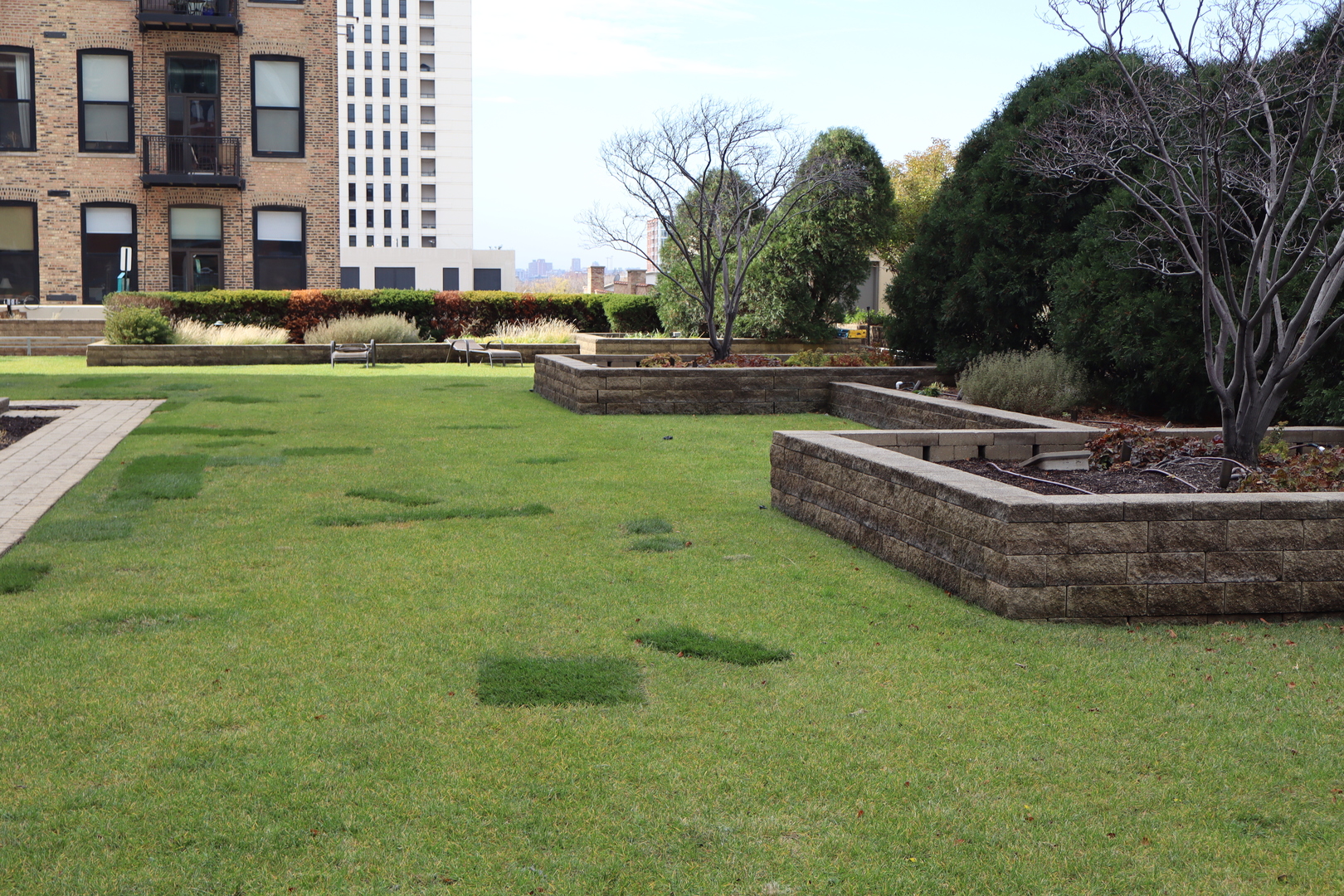 1250 South Michigan Avenue, Unit 1306 Chicago, IL 60605 - Photo 16 of 24 a view of a house with a yard and sitting area