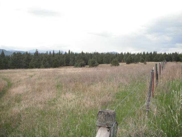4325 Lyons Hill Road Springdale, WA 99173 - Photo 1 of 8