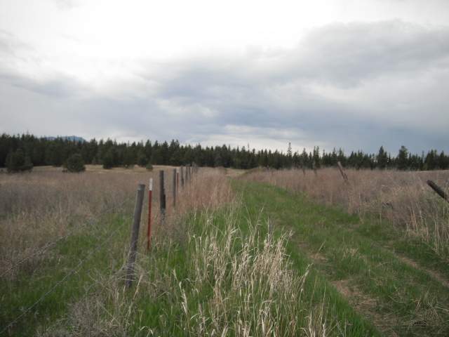 4325 Lyons Hill Road Springdale, WA 99173 - Photo 2 of 8
