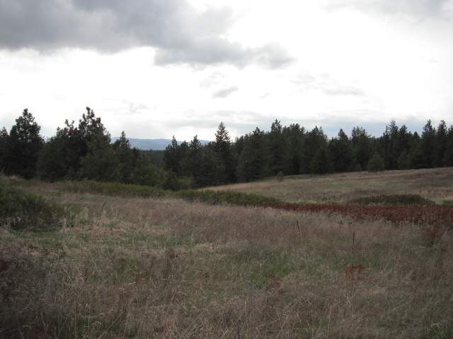 4325 Lyons Hill Road Springdale, WA 99173 - Photo 3 of 8