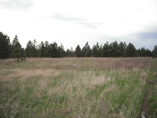 4325 Lyons Hill Road Springdale, WA 99173 - Photo 4 of 8