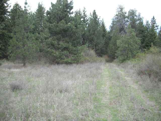 4325 Lyons Hill Road Springdale, WA 99173 - Photo 5 of 8