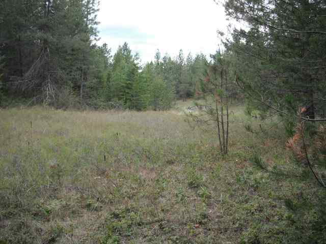 4325 Lyons Hill Road Springdale, WA 99173 - Photo 6 of 8