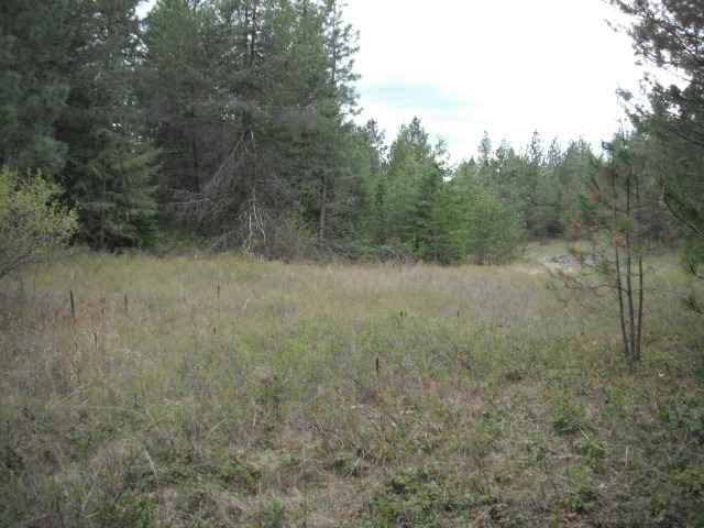 4325 Lyons Hill Road Springdale, WA 99173 - Photo 7 of 8