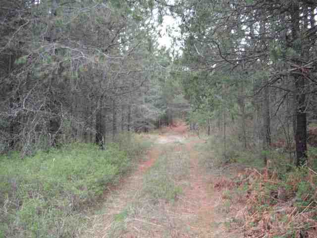 4325 Lyons Hill Road Springdale, WA 99173 - Photo 8 of 8