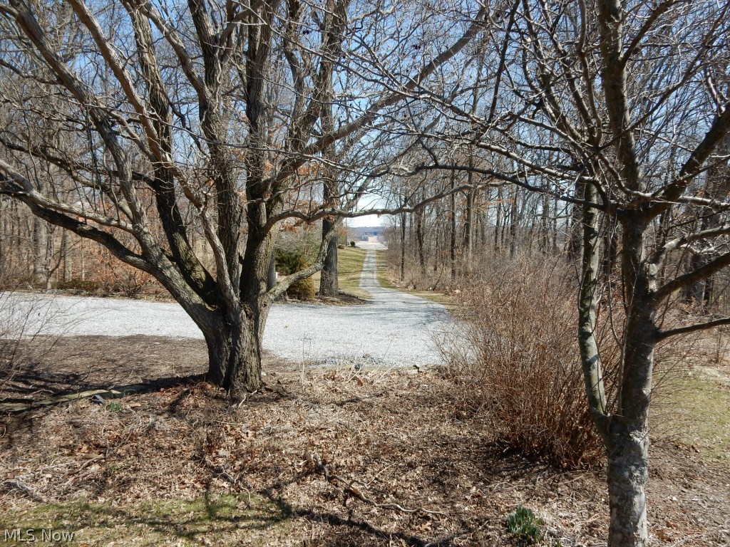 3901 Batdorf Road Wooster, OH 44691 - Photo 10 of 18 Gallery Image 10