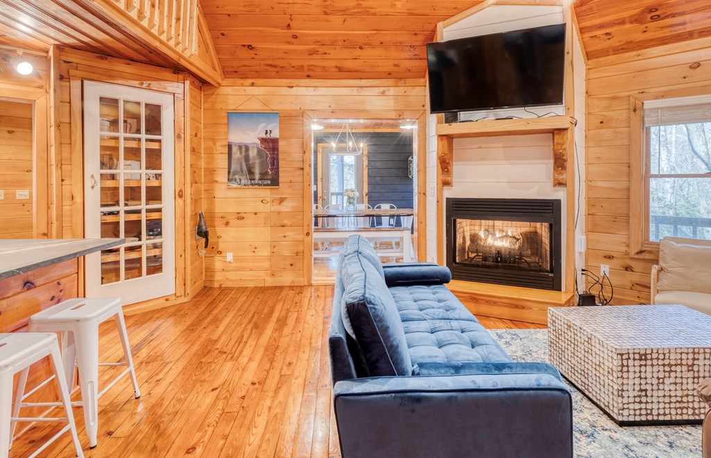 586 Newport Road Blue Ridge, GA 30513 - Photo 24 of 38 a living room with fireplace furniture and a flat screen tv