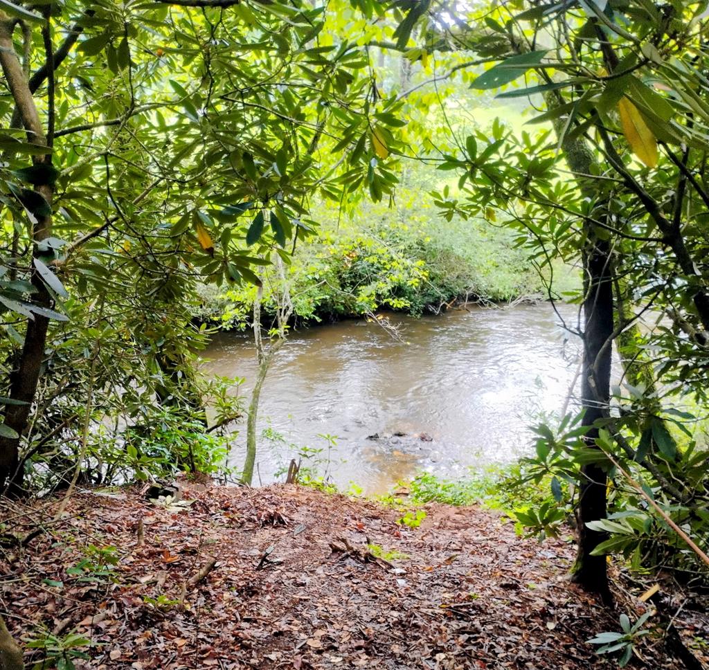 586 Newport Road Blue Ridge, GA 30513 - Photo 38 of 38 a backyard of a house with a yard and outdoor seating
