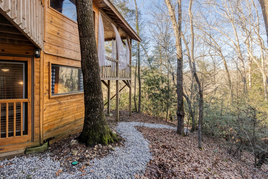 586 Newport Road Blue Ridge, GA 30513 - Photo 4 of 38 a backyard of a house with lots of green space