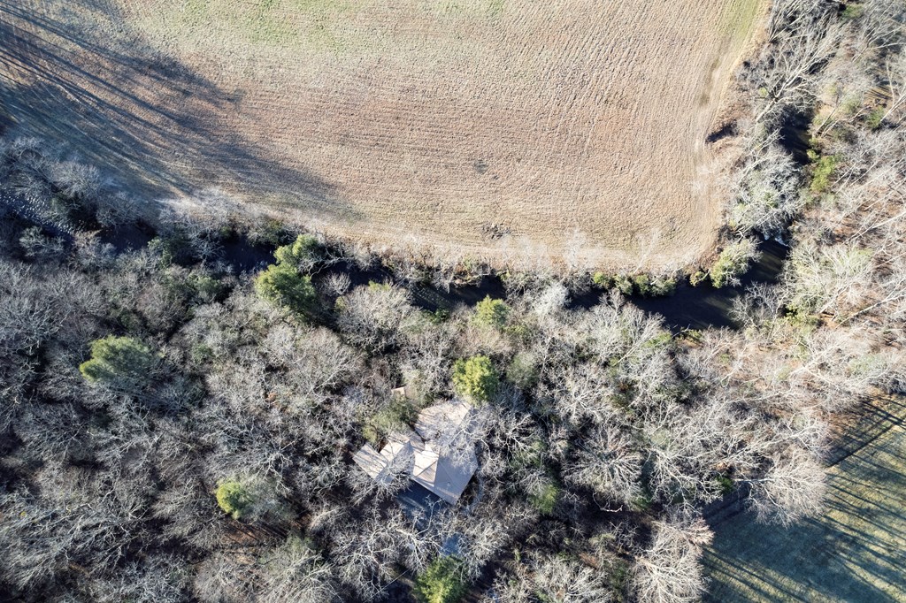 586 Newport Road Blue Ridge, GA 30513 - Photo 7 of 38 a view of a dry yard with green space