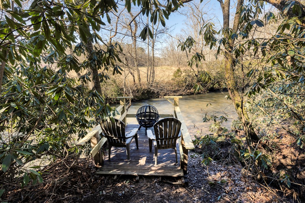 586 Newport Road Blue Ridge, GA 30513 - Photo 8 of 38 a view of a lake in a backyard