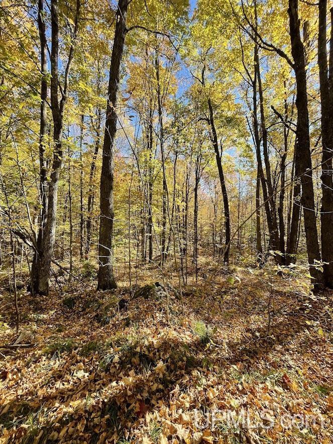 20.99-acres Old J Road Athelstane, WI 54104 - Photo 5 of 10