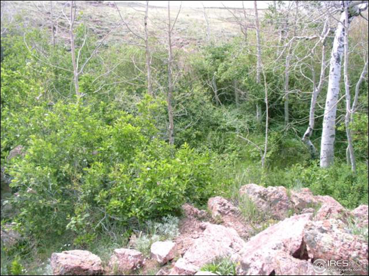 0 Bridge Road Road Livermore, CO 80536 - Photo 4 of 6 Gallery Image 4