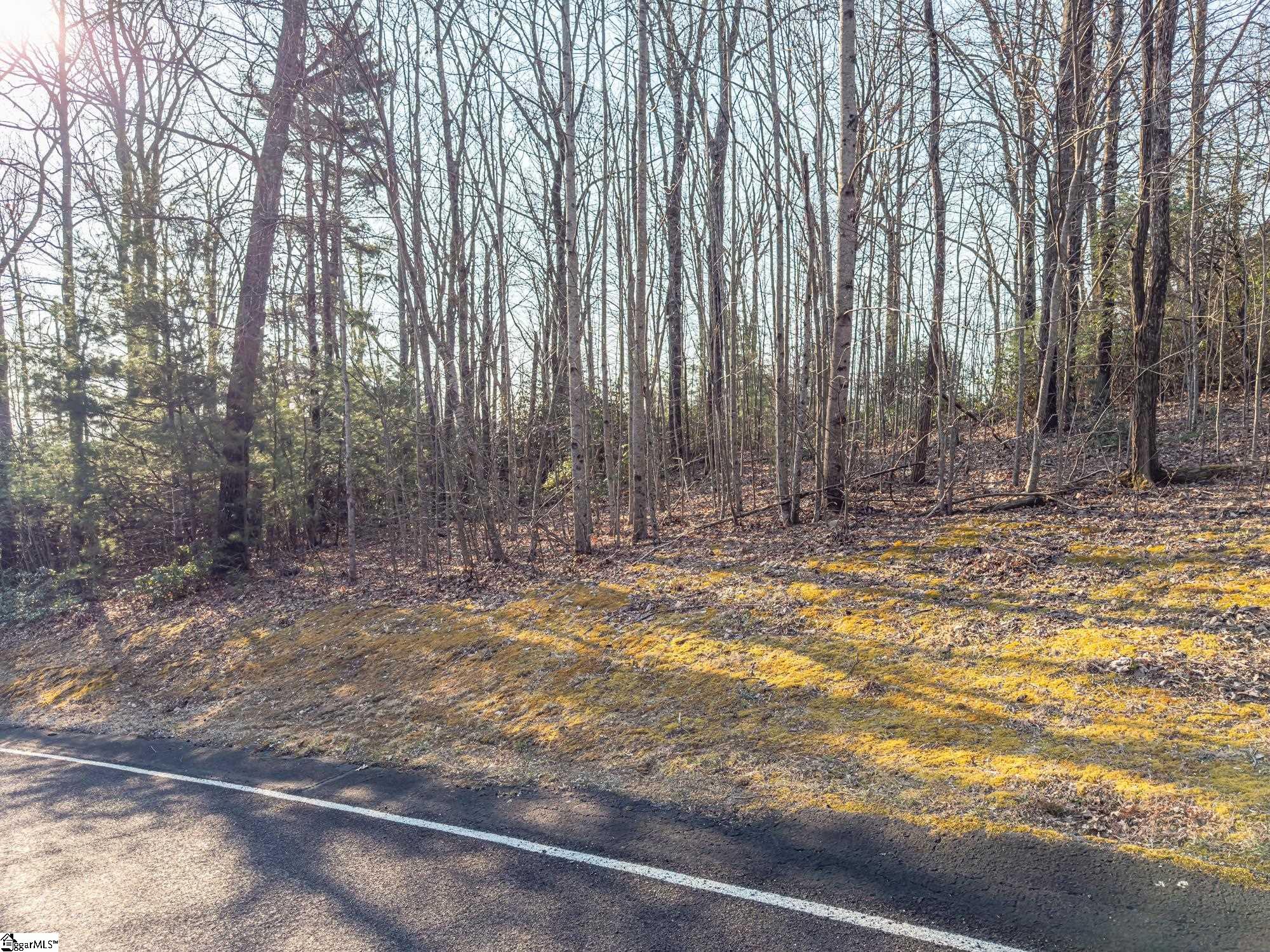 2 Park Green Way Landrum, SC 29356 - Photo 8 of 23
