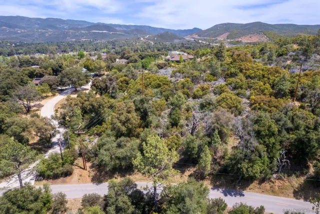 a view of a yard with a tree