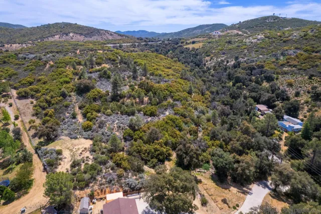 a view of a lush green hillside and a houses