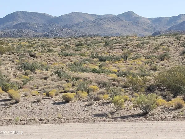 a view of a dry back yard